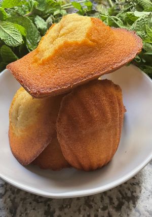Une photo de 🪺Madeleine 🧺🥧