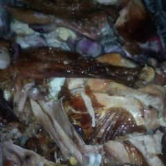 A picture of My chicken.