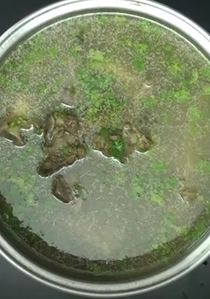 A picture of Paya Soup.