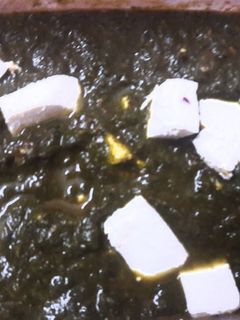 पालक पनीर (Palak Paneer recipe in hindi) रेसिपी मुख्य फोटो