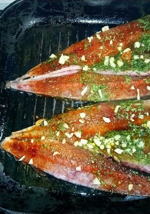 Foto principal de Caballas chapadas 🐟🐟