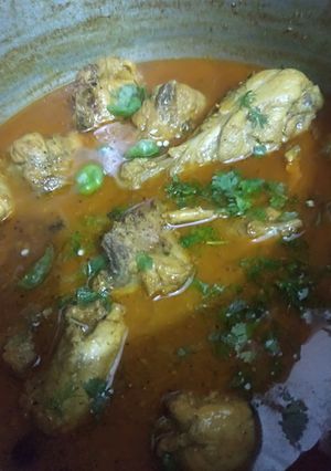 A picture of Chicken Degi Qorma.