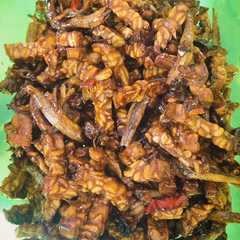 A picture of Kering Tempe & Teri Jengki.