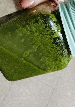 Una foto de Salsa Verde para Empanadas y Carnes