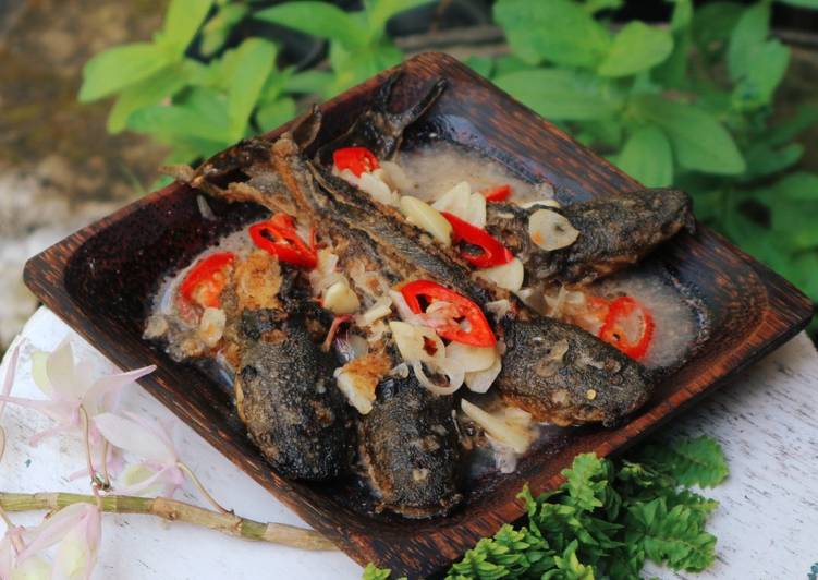 Resep Pecel Lele Santan Jawa Timur yang Harus Anda Coba