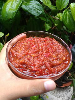 Foto resep Sambal Terasi Serbaguna