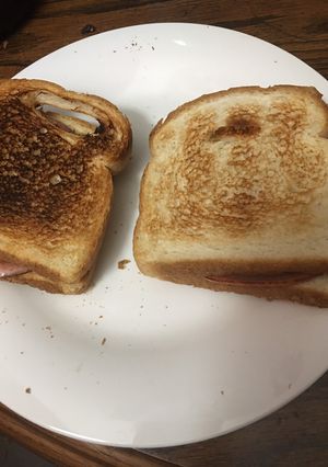 A picture of Fried bologna.
