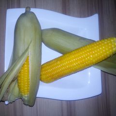 A picture of Boiled corn 2.
