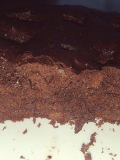 Una foto de Brownie a mi rollo