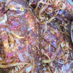 Pepper talafia 🐟 fish A picture of Pepper talafia 🐟 fish.