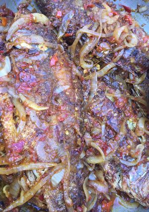 A picture of Pepper talafia 🐟 fish.