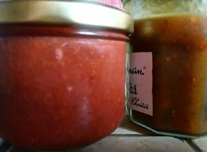 Une photo de Sauce Tkemali (Géorgie 🇬🇪)