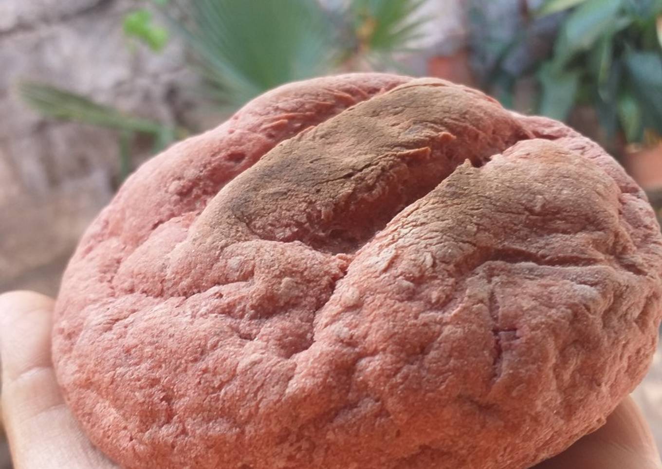 Pancito de beterraga y lentejas