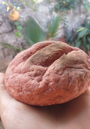 Una foto de Pancito de beterraga y lentejas