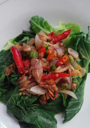 Foto resep Tumis Bawang lalap Tunas Kol
