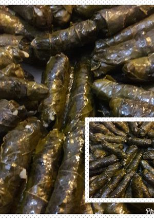 A picture of Stuffed Grape Leaves in Oil.