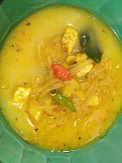 Foto resep Opor tempe + pepaya muda