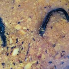 Coconut moong daal A picture of Coconut moong daal.