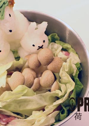 蘿蔔泥造型火鍋 的食譜成品照片
