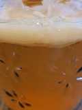 Kombucha