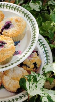 Foto principal de Muffins de arándano de annie