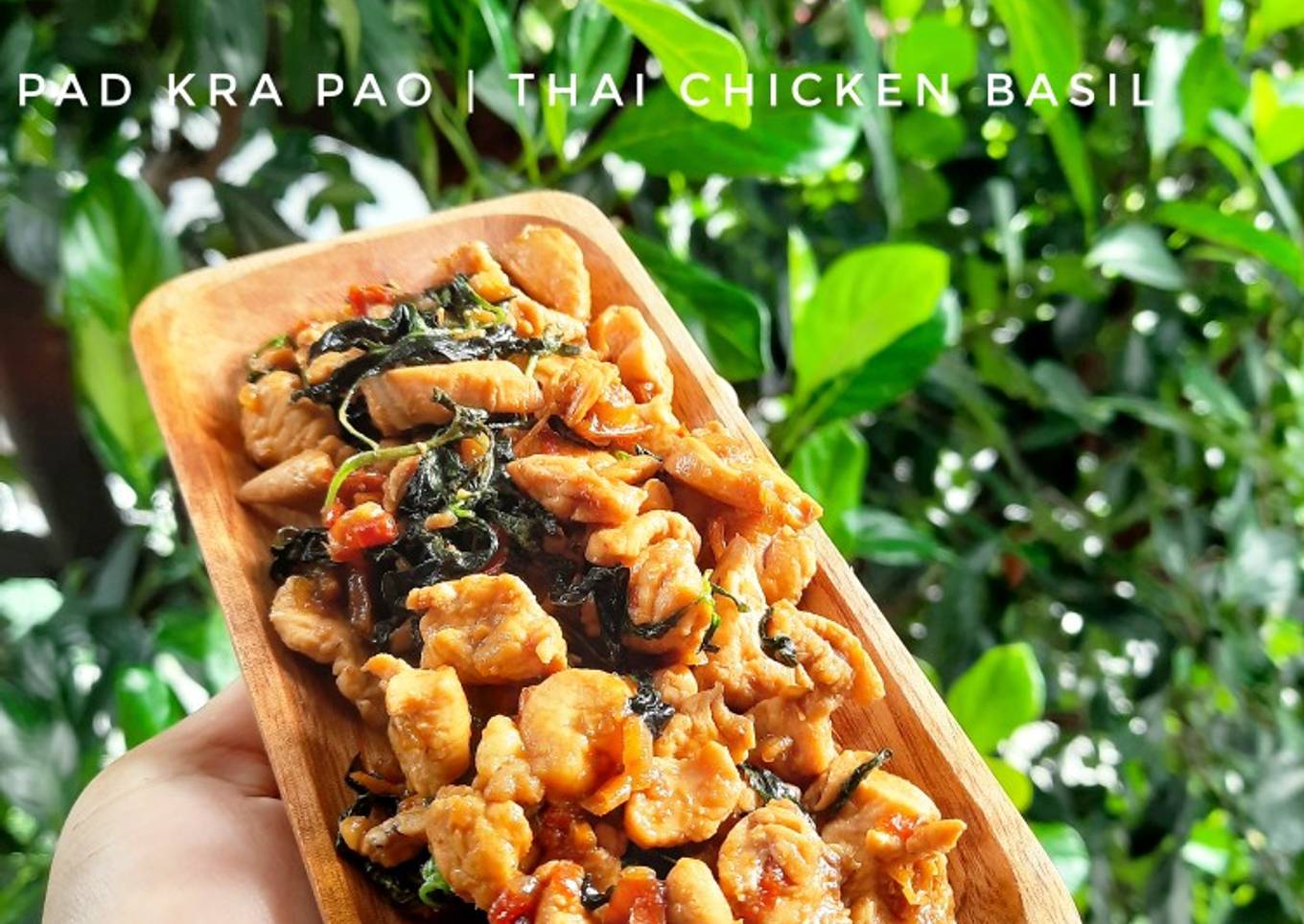 Pad Kra Pao | Thai Chicken Basil 🇨🇷