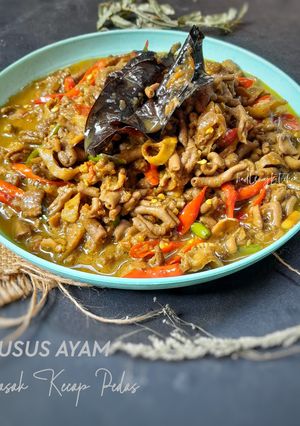 Foto resep Usus Ayam Masak Kecap Pedas