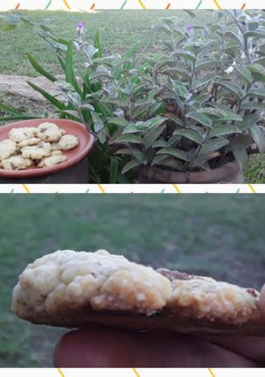 Una foto de Galletitas de avena y chocolate o nuces