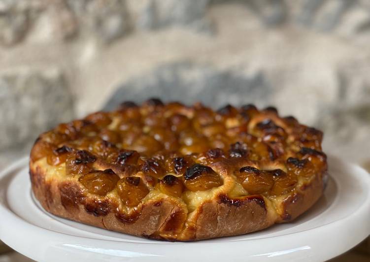 La Recette Pas à Pas Tarte briochée aux mirabelles