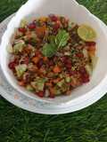 Moong sprout chana sprout salad