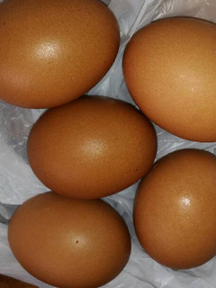 Una foto de Huevos en salmuera