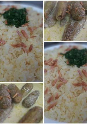 صورة لوصفة كوسا باللبن والأرز