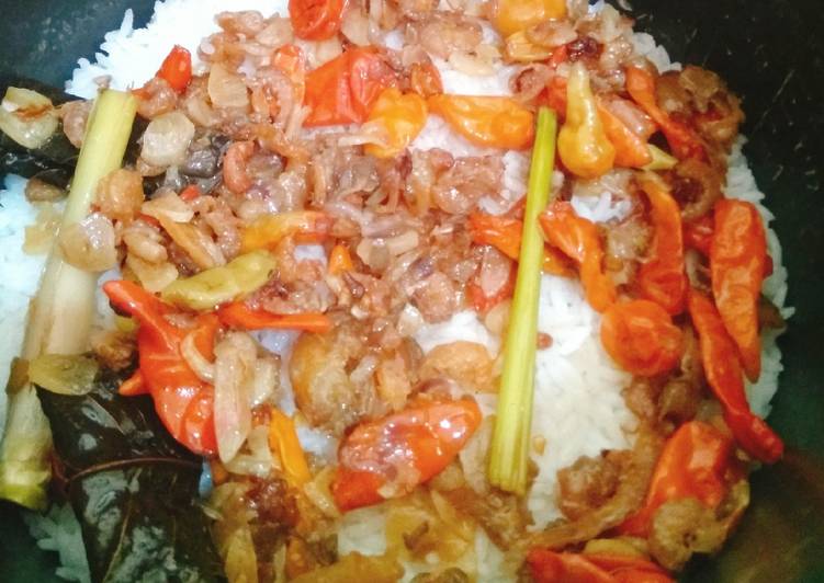 Nasi liwet ebi pedass