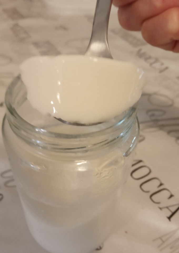 Una foto de Yogurt de coco sin lactosa y sin aparatos