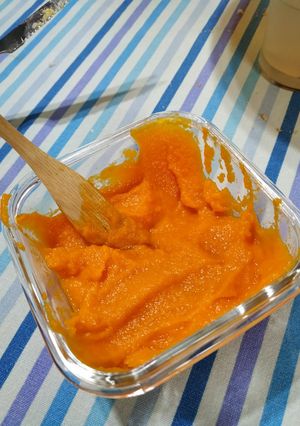 A picture of Vegan Carrot Mayo (without actual Mayo).