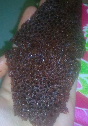 Foto resep Bolu sarang semut bolu caramel karamel