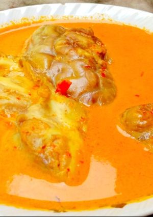 Foto resep Gulai Otak sapi
