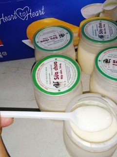 Hình của món Sữa chua nhà làm.