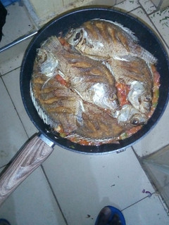 A picture of Wet fry Tilapia.