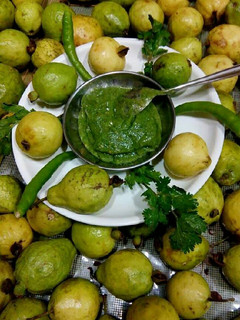 A picture of Guava ki chutney.