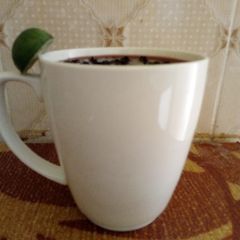 A picture of Zobo.