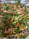 Ensalada multicolor