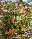 Ensalada multicolor