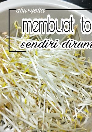 Foto resep Membuat toge sendiri dirumah 🌾
