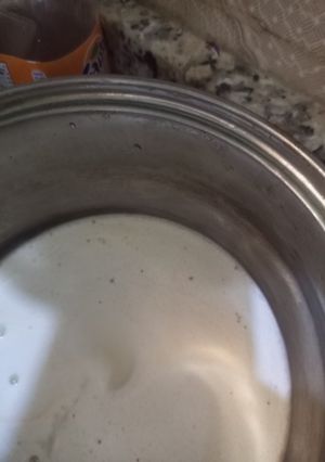 A picture of Coconut milk.