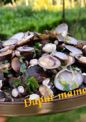 Foto resep Tumis kerang sungai (pensi)