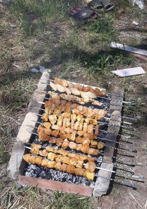 عکسی از دستور جوجه کباب در دل طبیعت در کنار خانواده