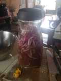 Cebolla curtida con chile abanero(yucateca)