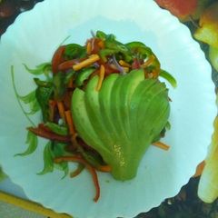 A picture of Avocado fern assorted veg Carrie salad.