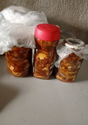 Una foto de Hongos de eucalipto en escabeche